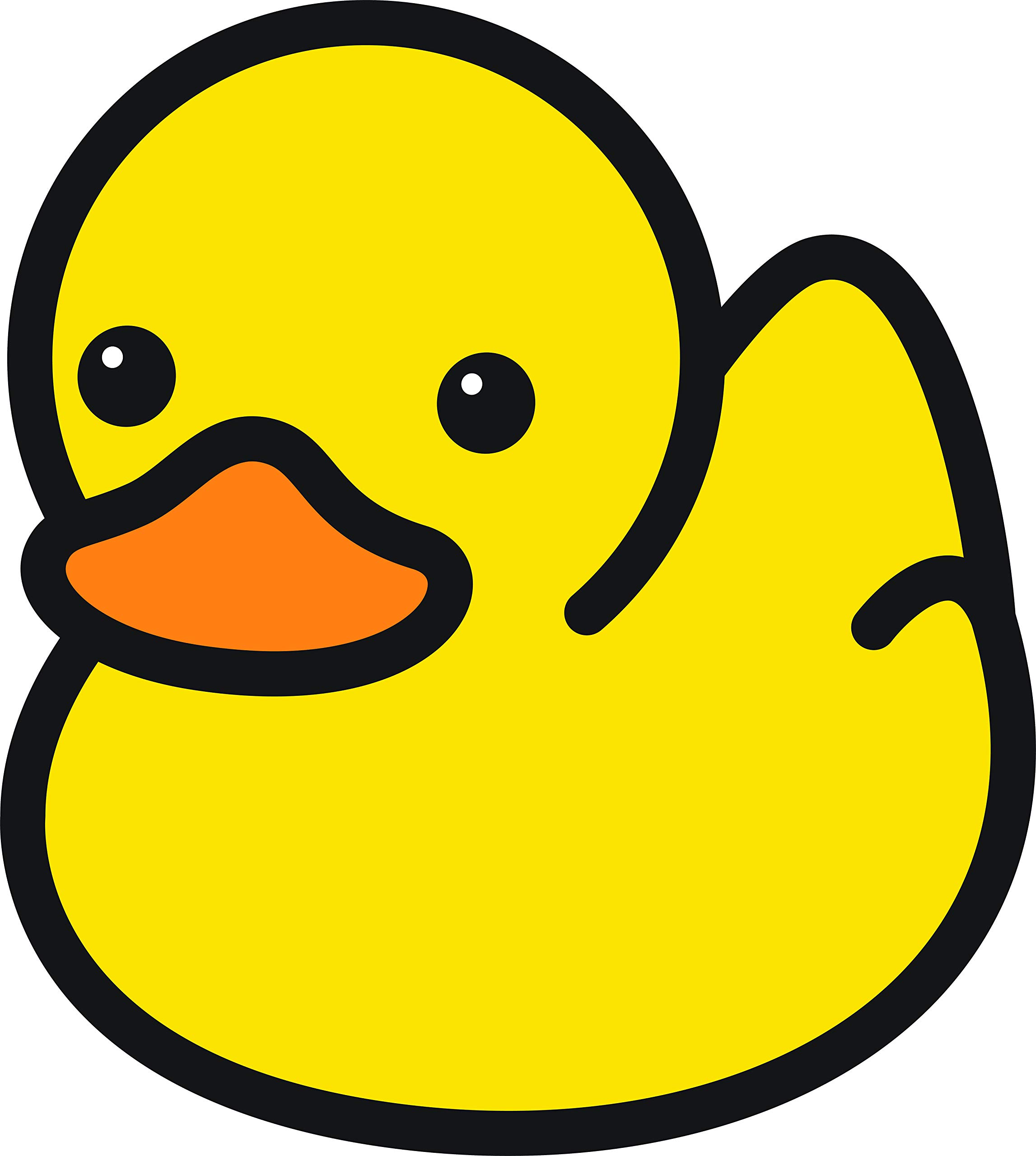 Picture of a duck